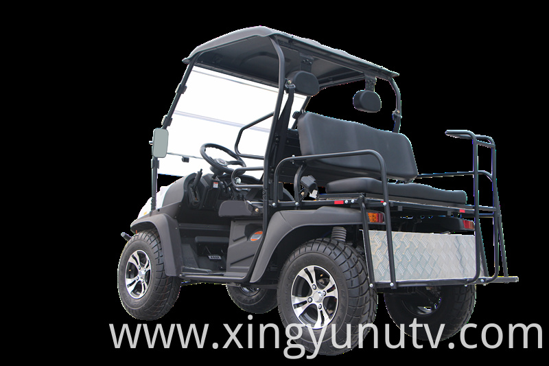 2021 Hot Sale High Quality 5KW Electric UTV EEC Electric Golf Cart